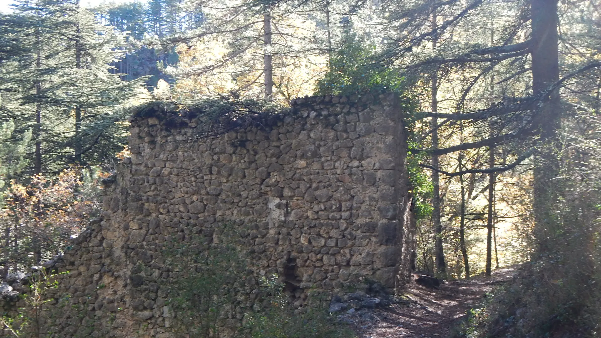 Sentier de Valbonnette