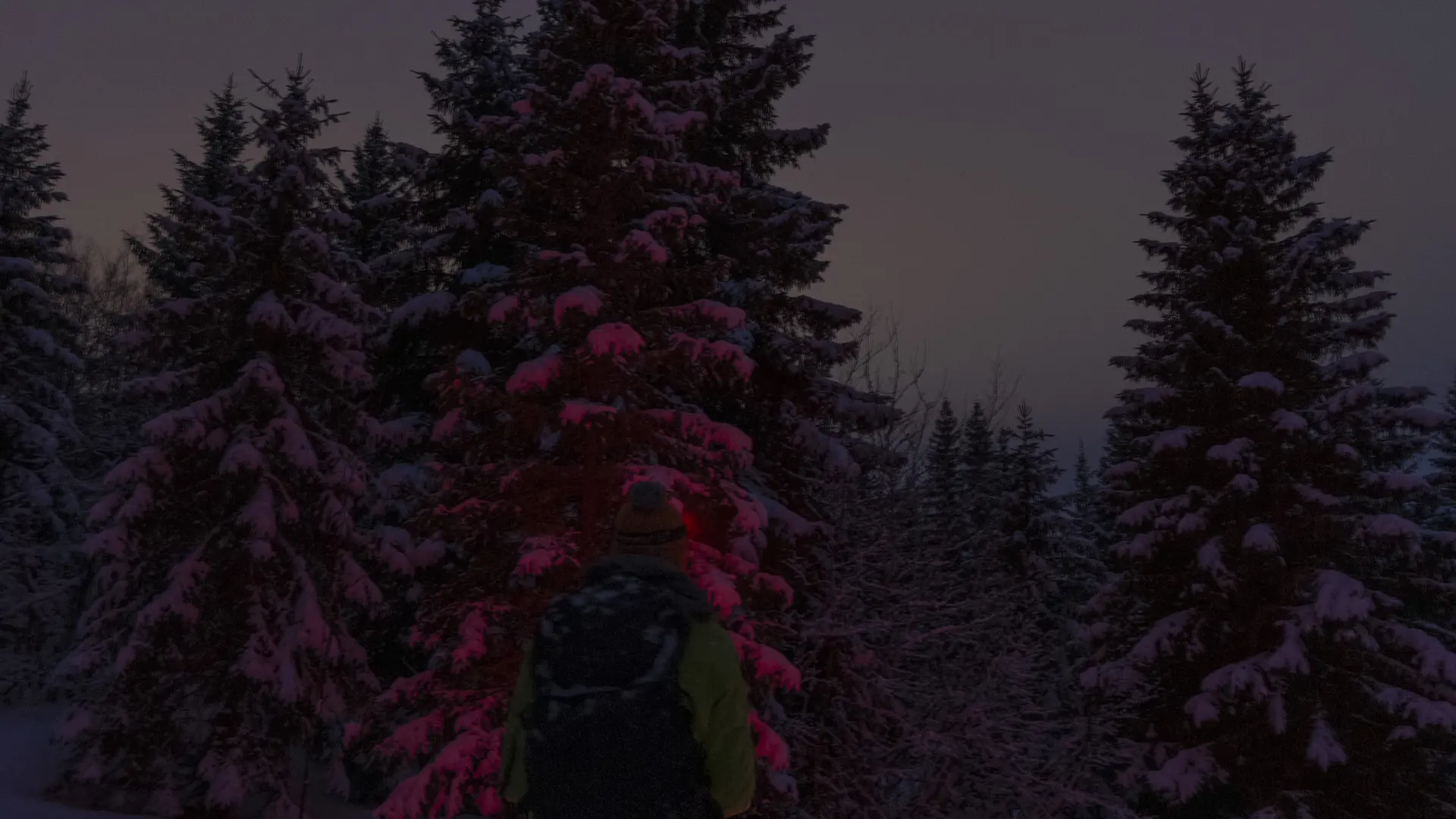 Randonnée nocturne la Féclaz