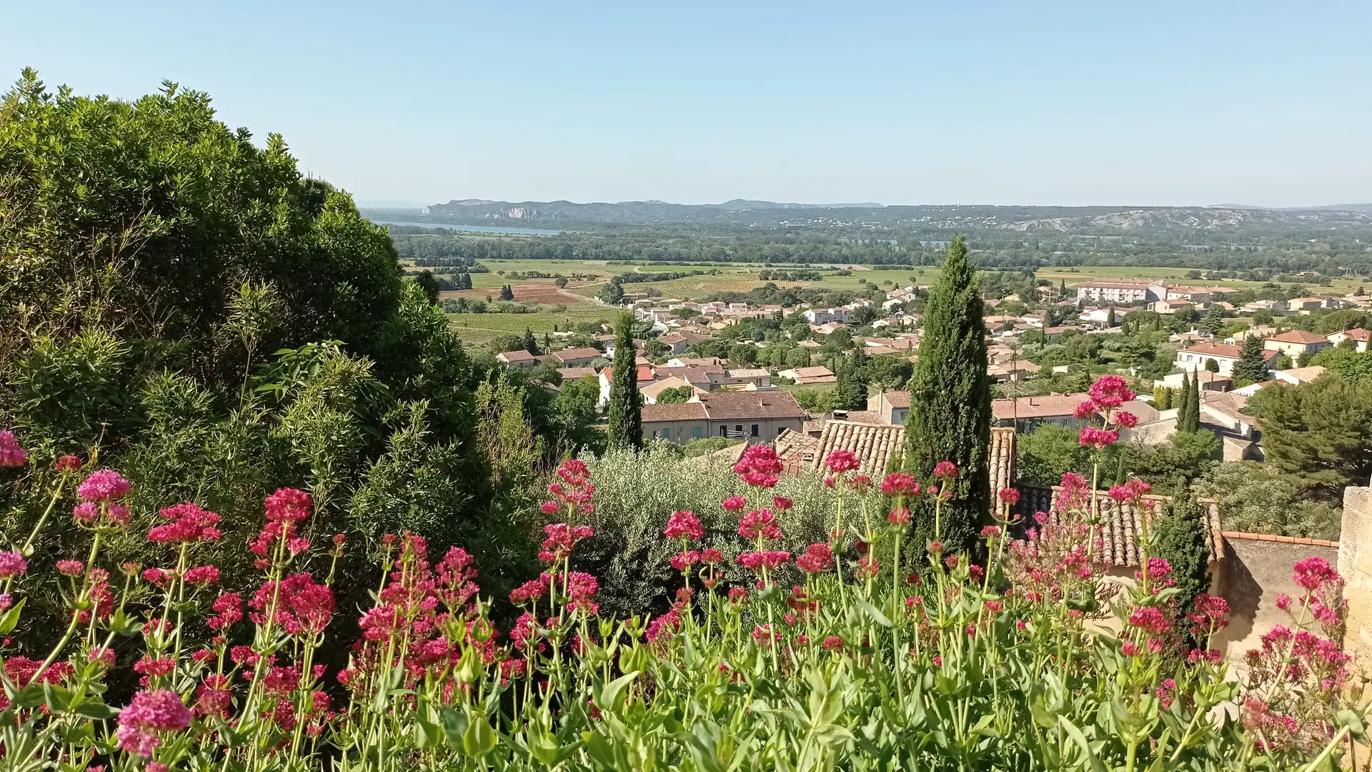 Vue du Château des Papes