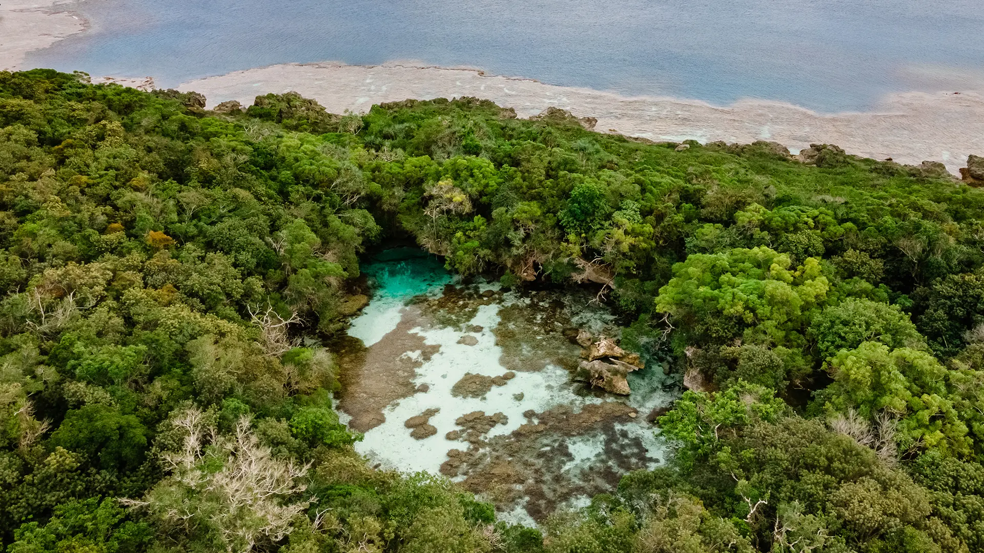 The coral wall protects the aquarium from the onslaught of the sea