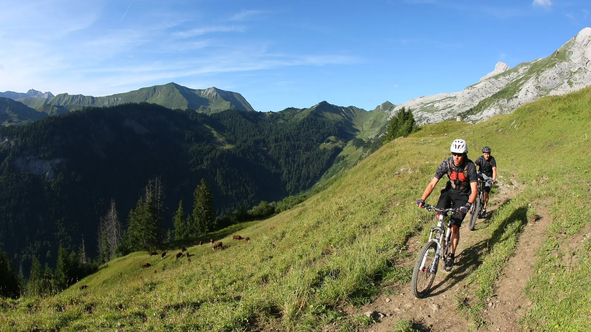 Circuit VTT enduro : le Grand tour du Grand-Bo