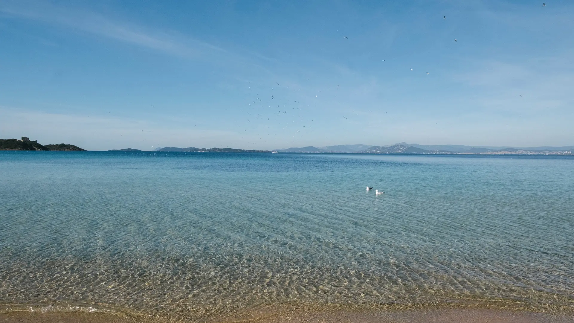 Bateau, vélo et déjeuner à Porquerolles : une journée d’évasion au cœur des Îles d’Or_Hyères