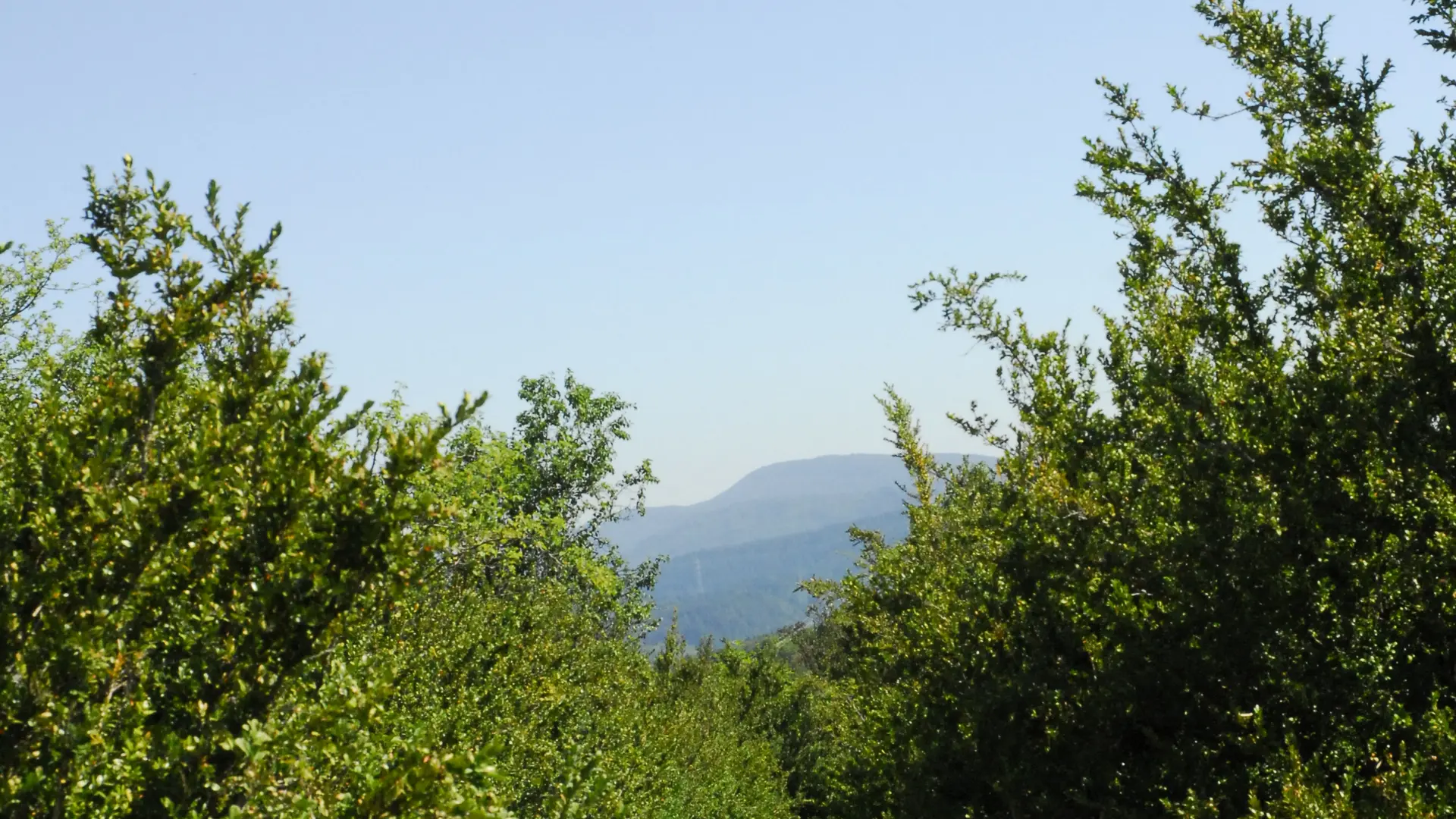 Randonnée Les Conches