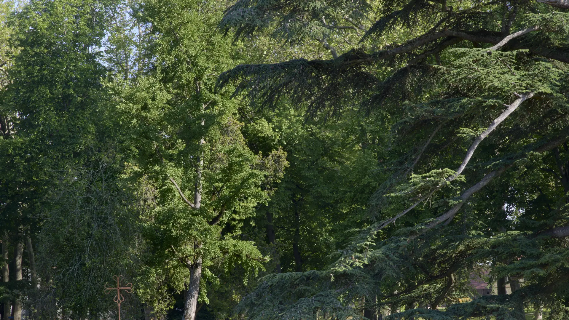 Vue du parc du Domaine royal de Randan
