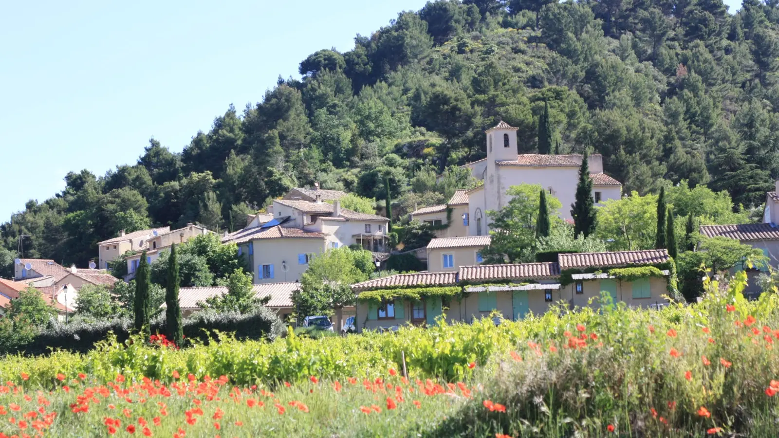 A. Hocquel / Collect ADT