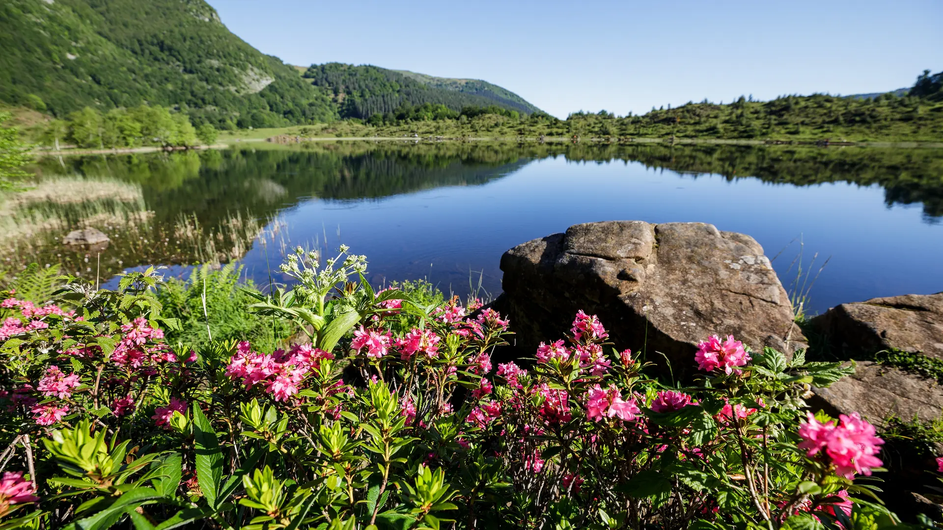 Etang de Lers avec Rododendrons