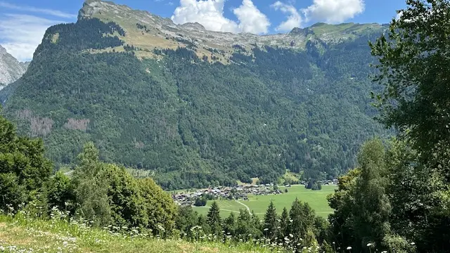 VUE
