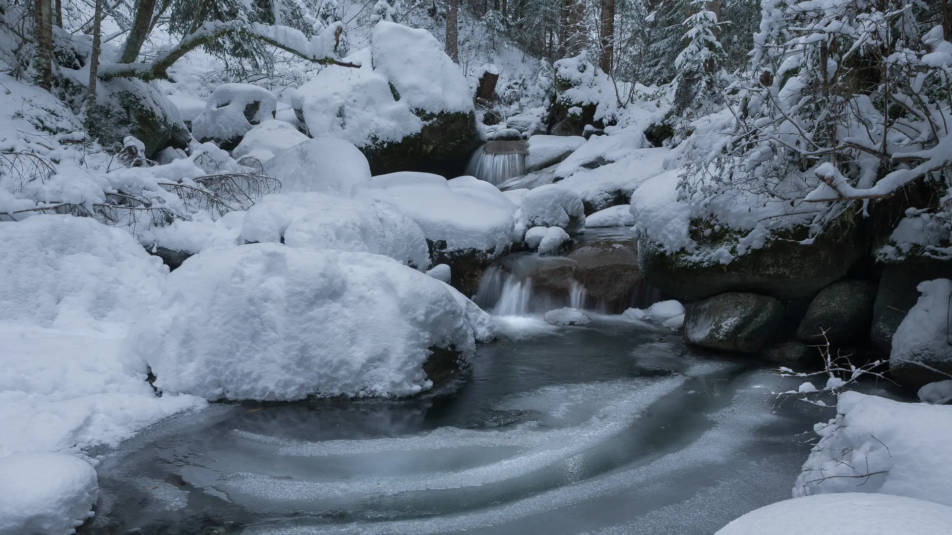 Rivière du Pont des Nants l'hiver