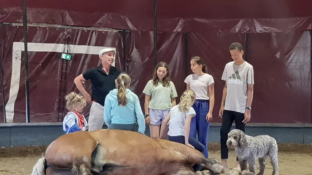 Cours et stage d'été