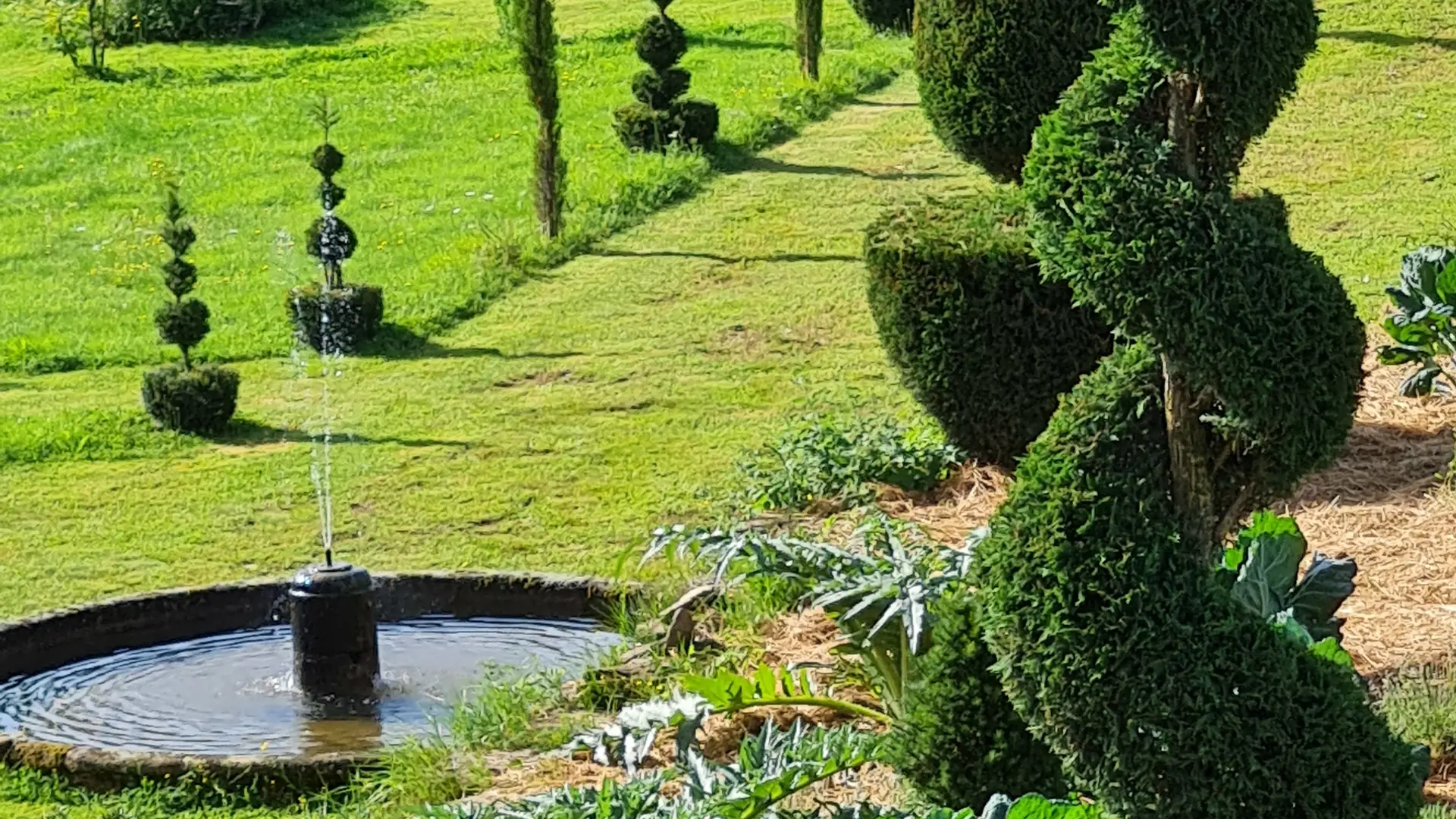Jardin
