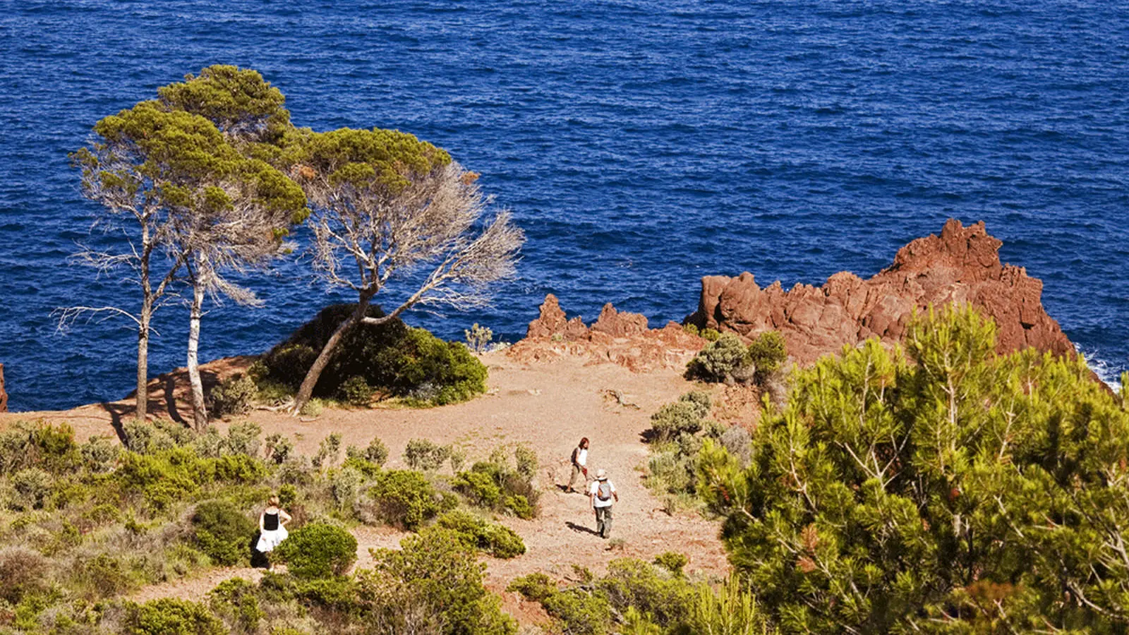 Randonnée : Le Sentier du LIttoral