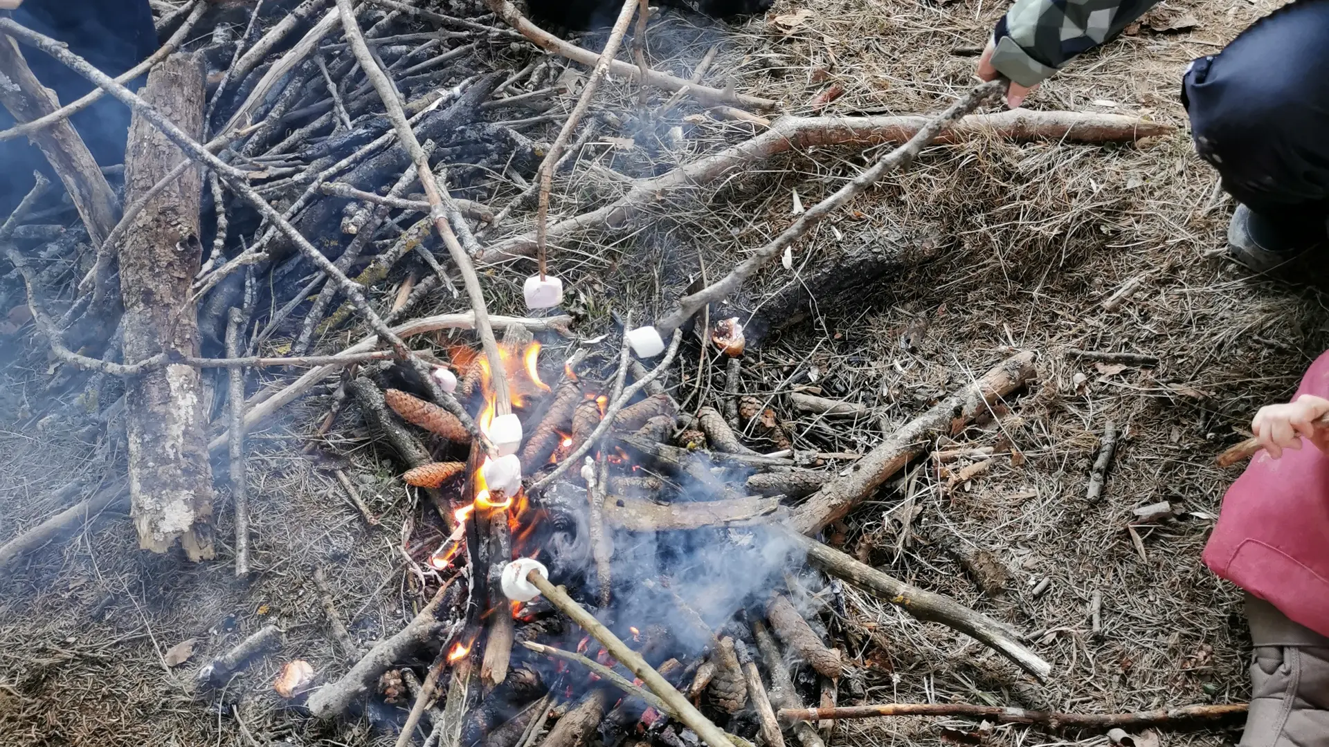 Chamallow grillés