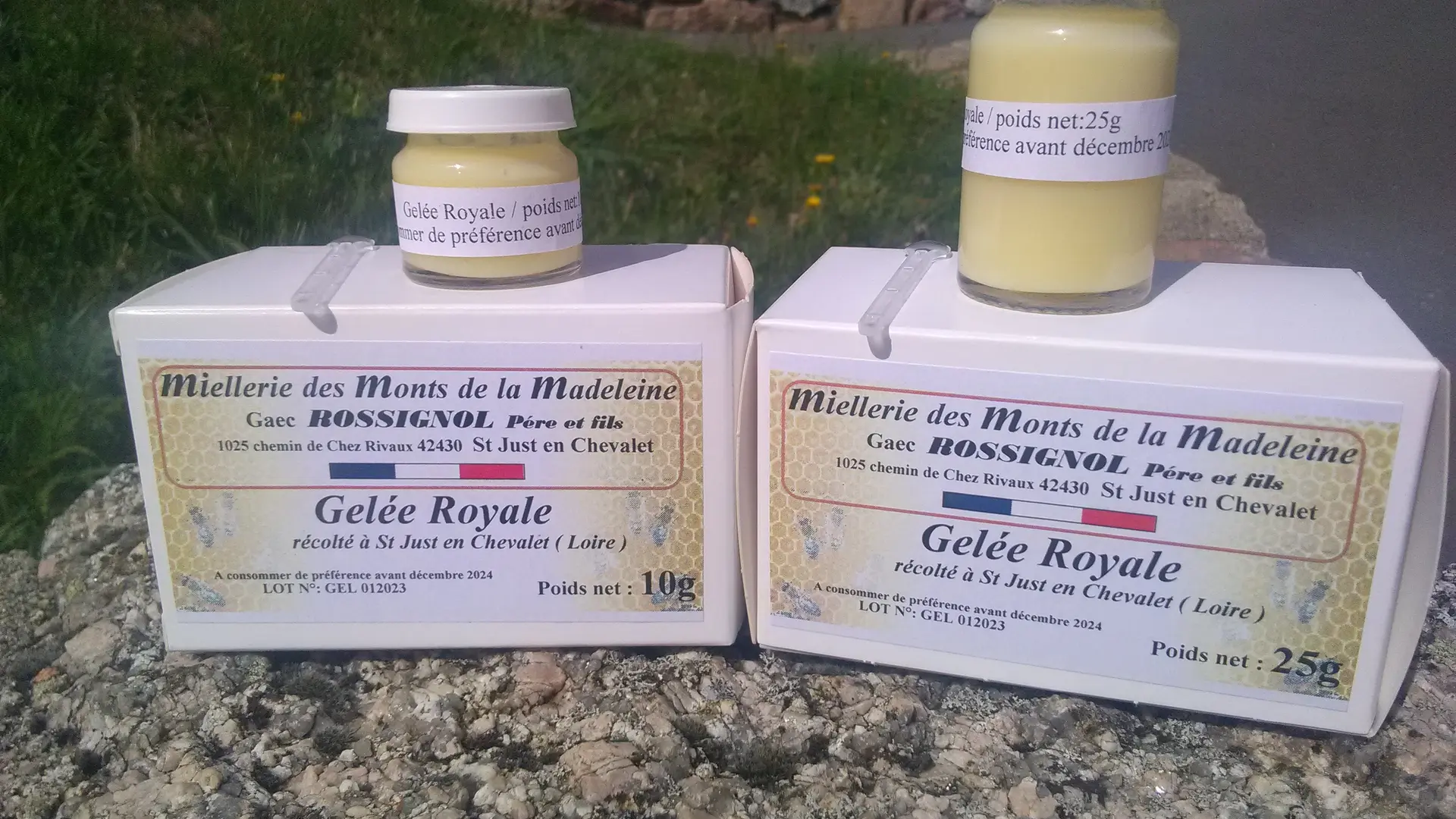 GELEE ROYALE