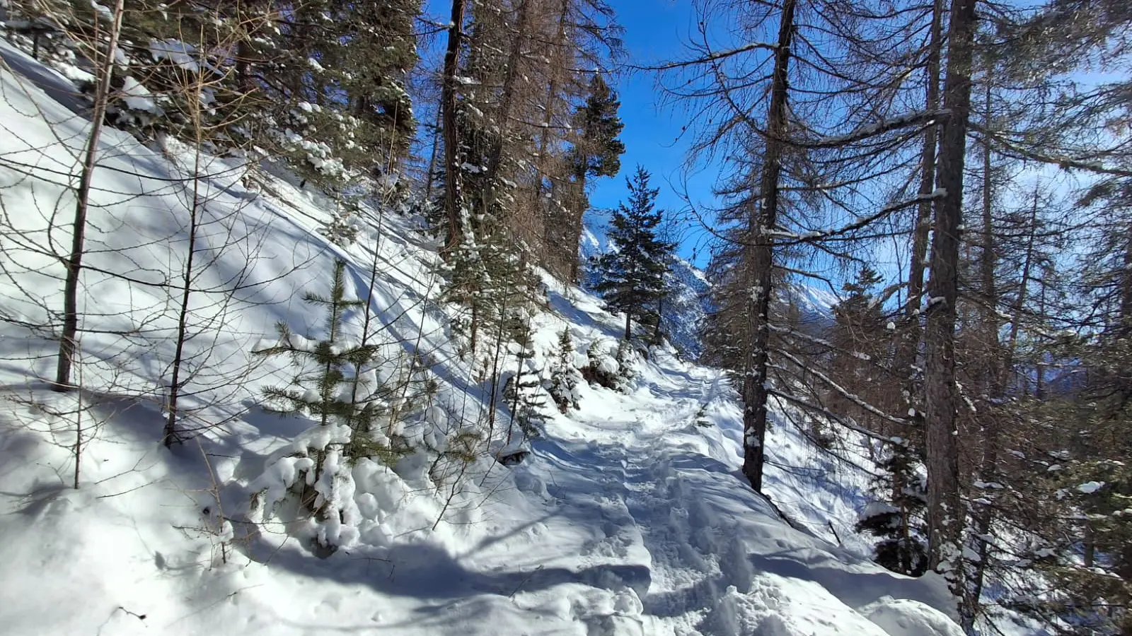 Sur la trace de la Combe Saint Martin