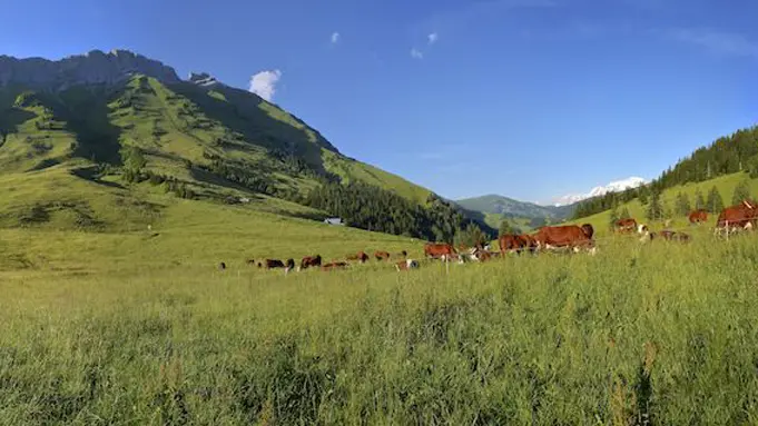 Col des Aravis