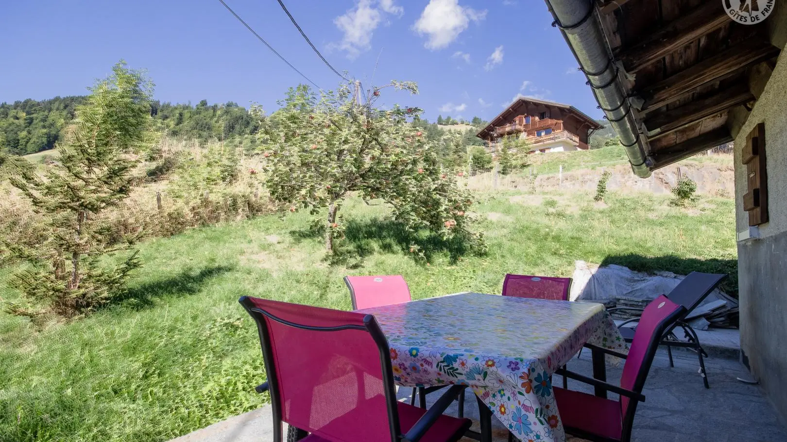 73G132331- LEBOIS - HAUTELUCE