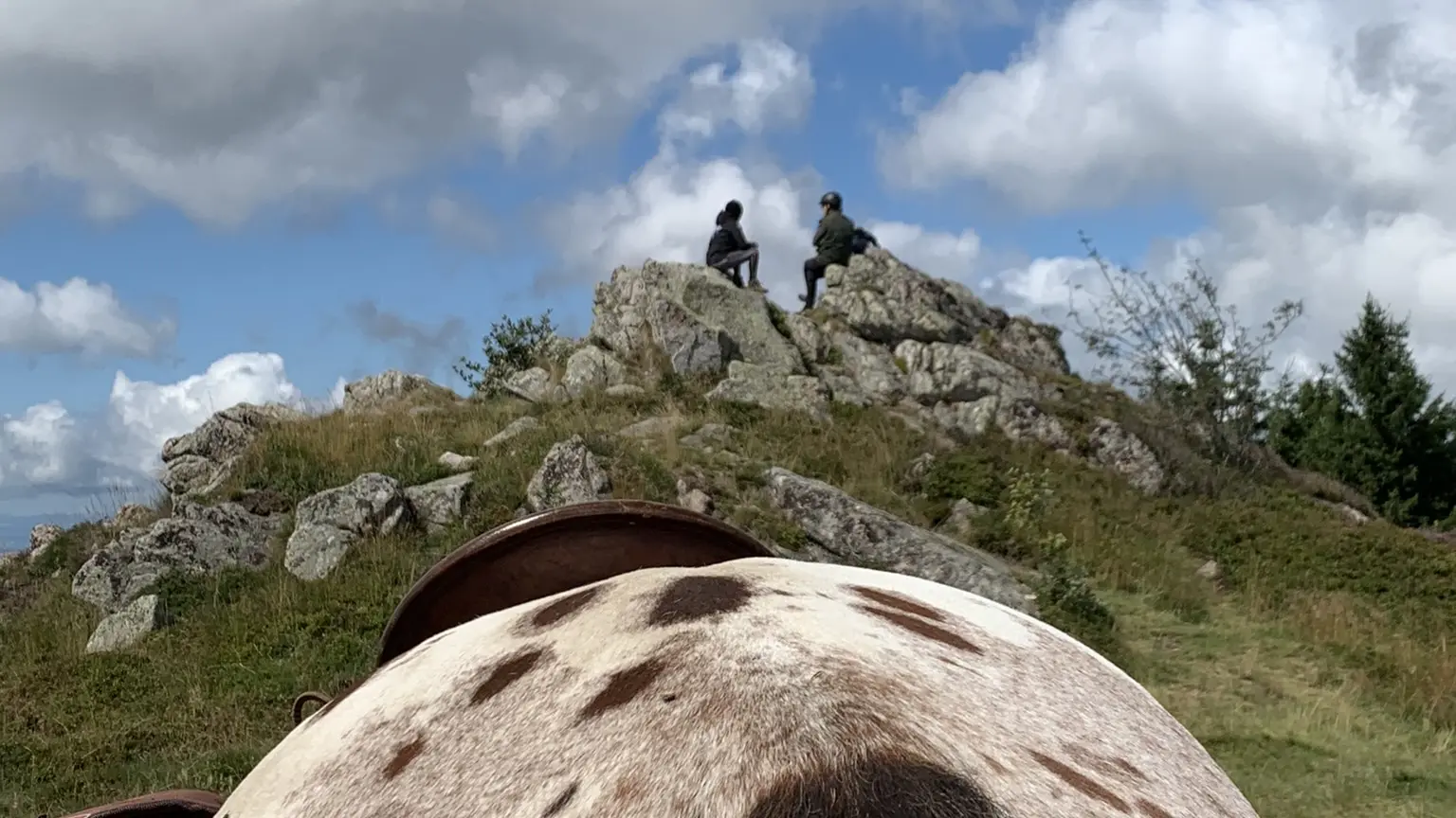 Rando à cheval