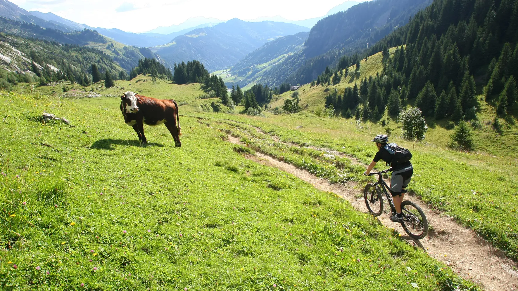 Circuit VTT enduro : le Grand tour du Grand-Bo