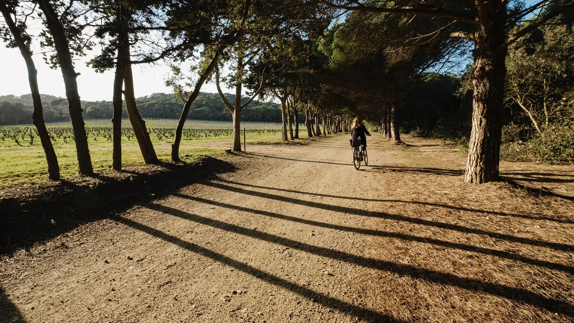 Bateau, vélo et déjeuner à Porquerolles : une journée d’évasion au cœur des Îles d’Or_Hyères