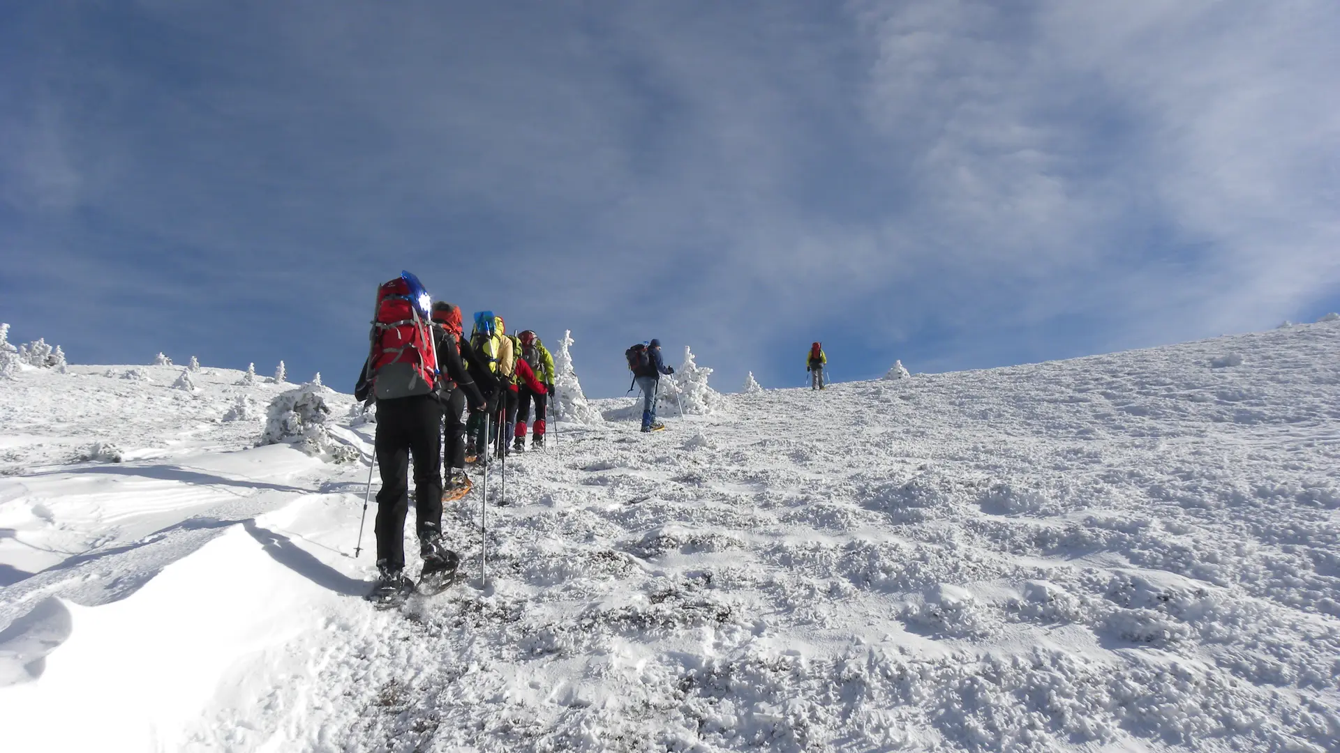 Raquette à neige