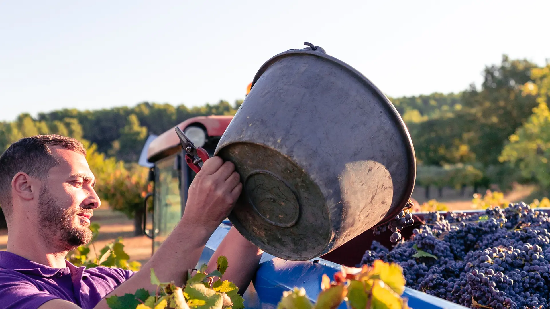 Domaine des Hauts Traversiers