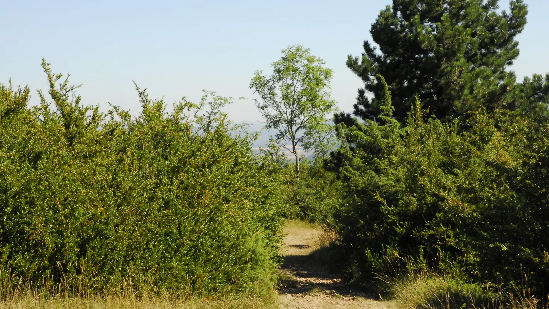 Randonnée Les Conches