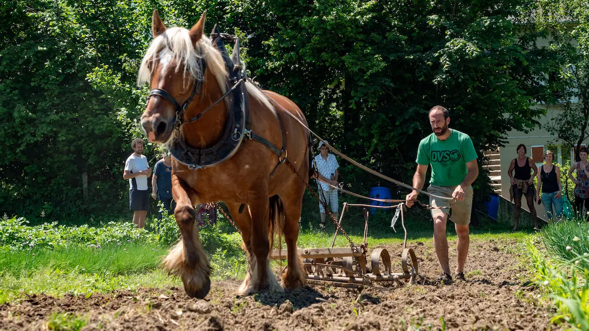 labour 1 cheval