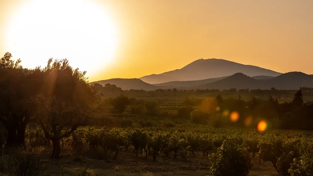 Domaine Galuval