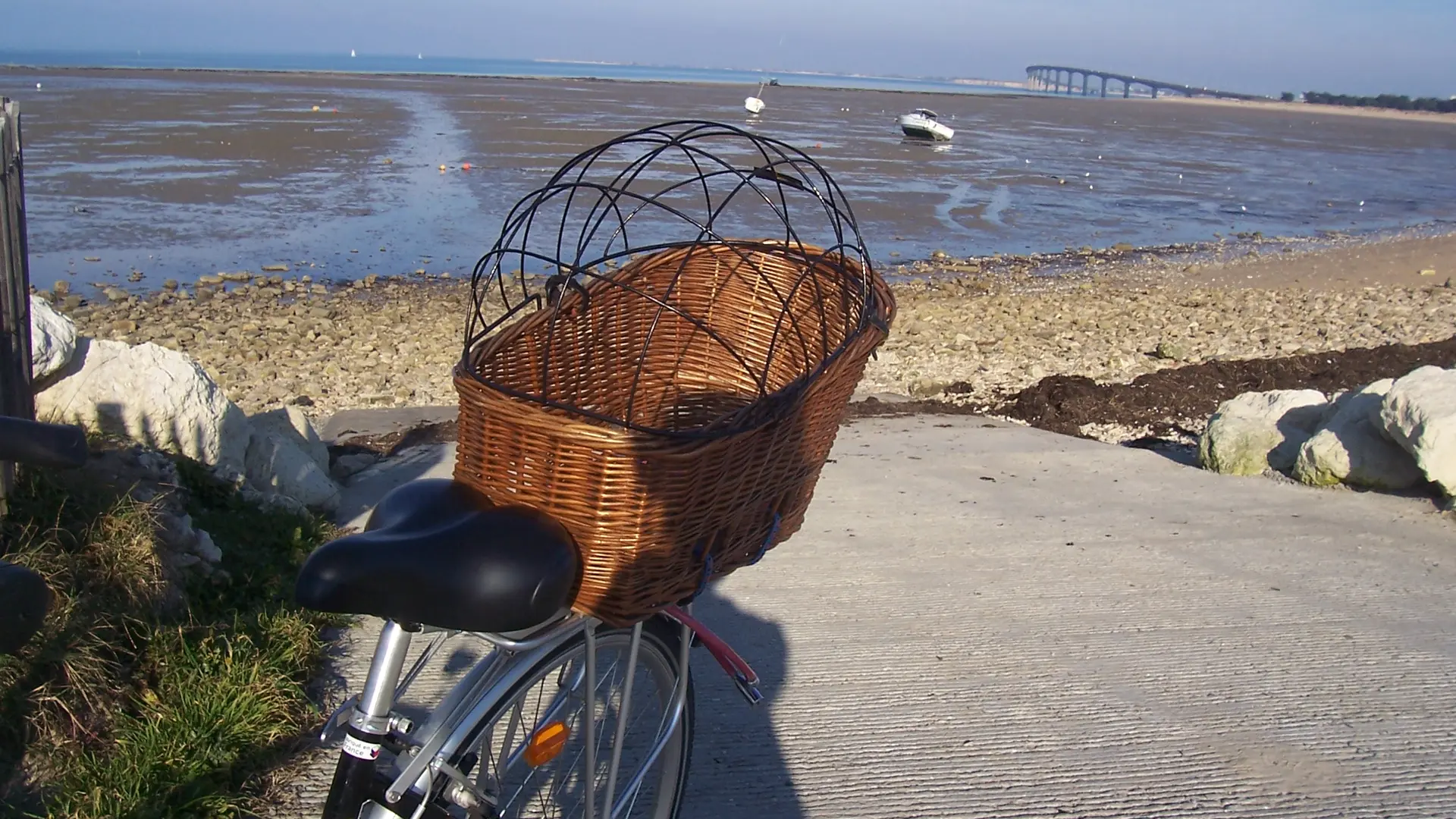 Panier chien arrière