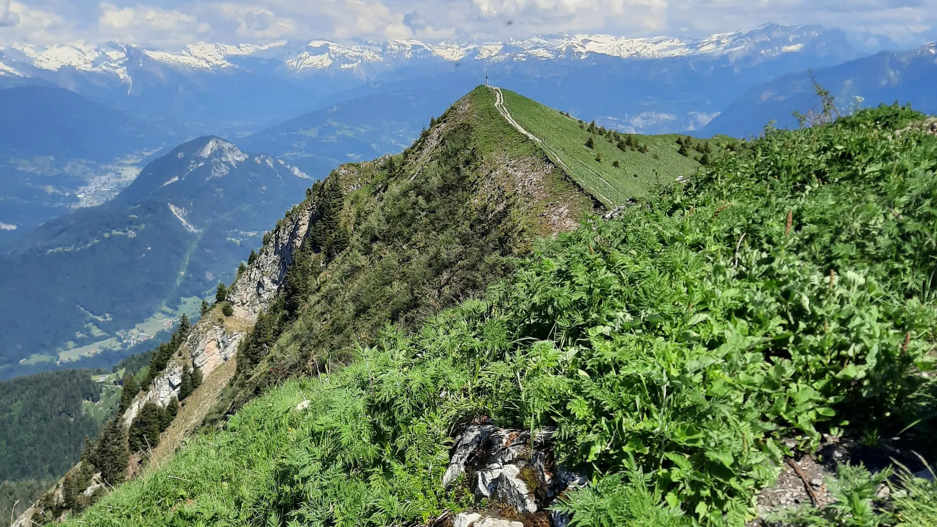 Crête du Môle