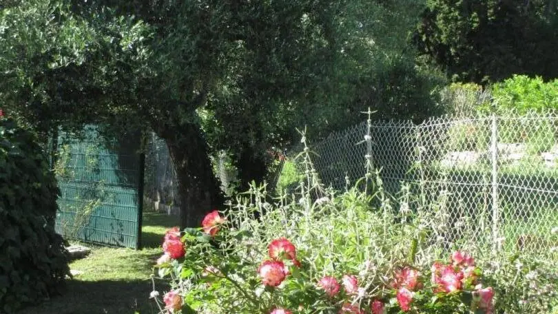 Gîte L'Emiliana - Jardin - Roquefort les Pins Gîtes de France Alpes-Maritimes