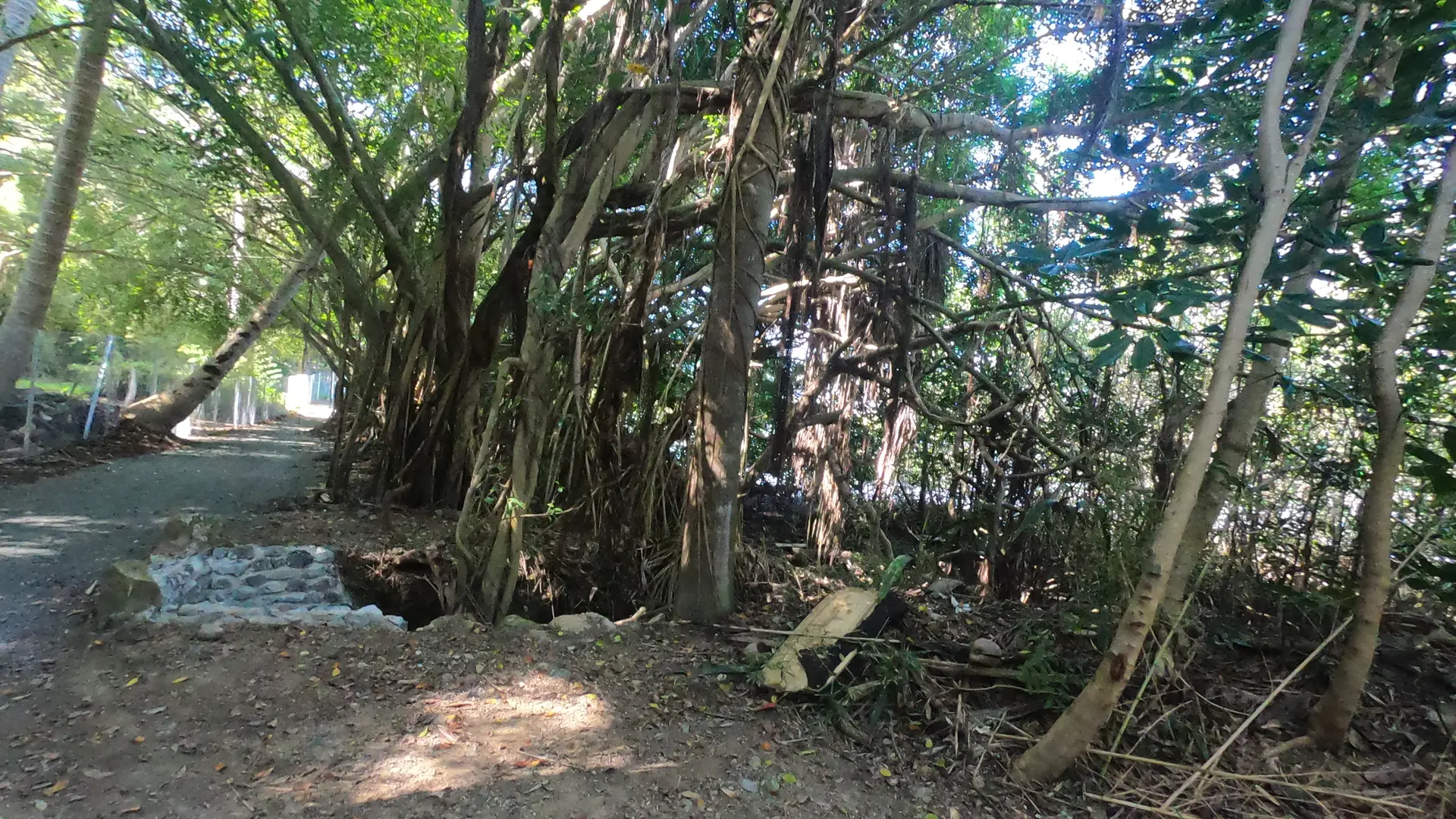 Une promenade en accord avec mère Nature, aussi impressionnante que majestueuse