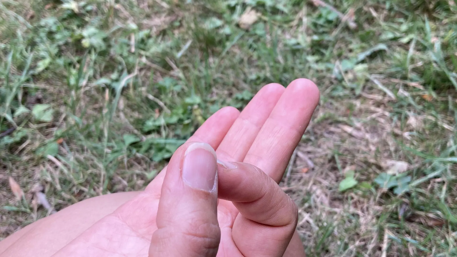 Gyan Mudra