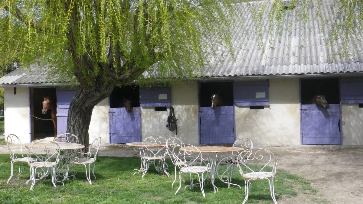 Centre Equestre Avignon