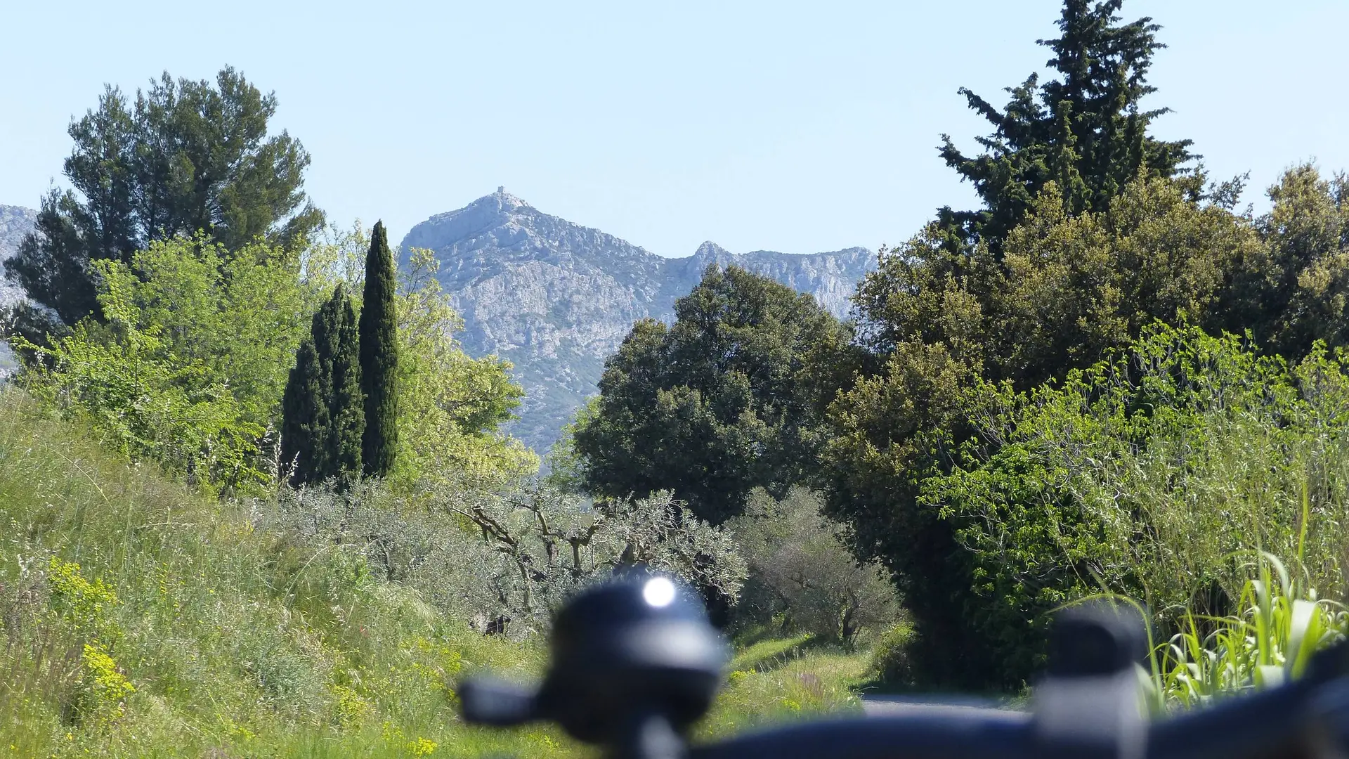 Vue sur la tour des Opies depuis la D24A