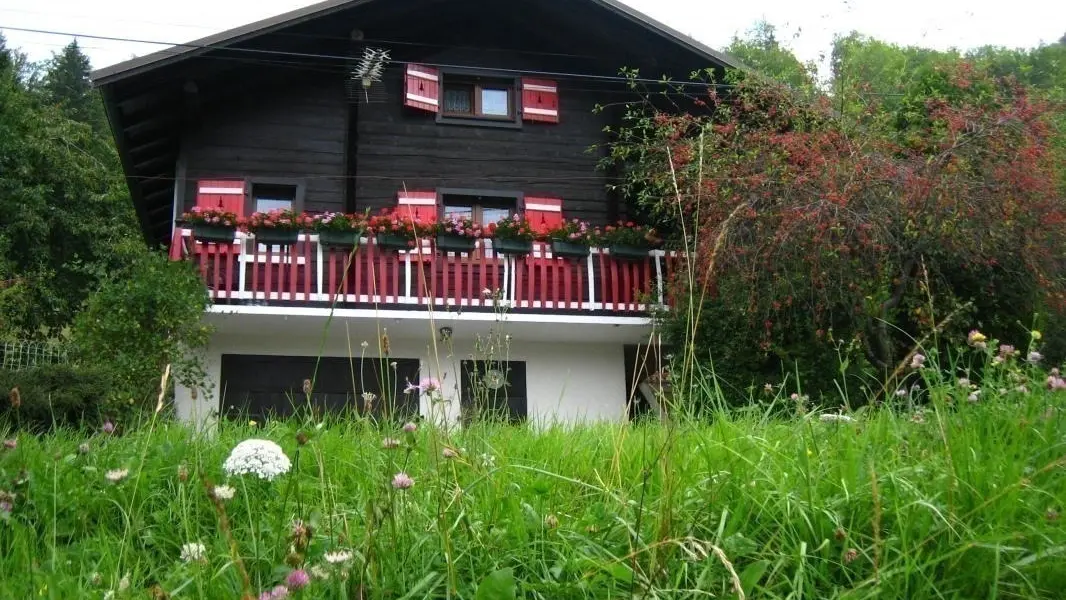 Notre gîte : un chalet individuel typique face à la Tournette !