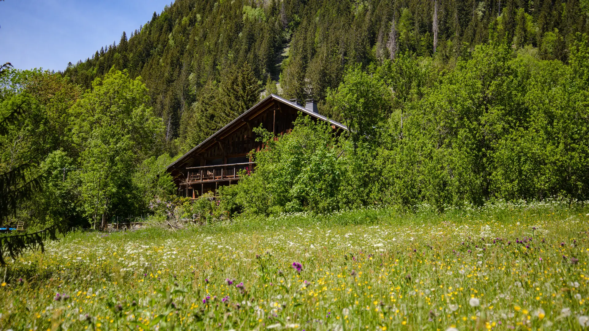 Le jardin en été