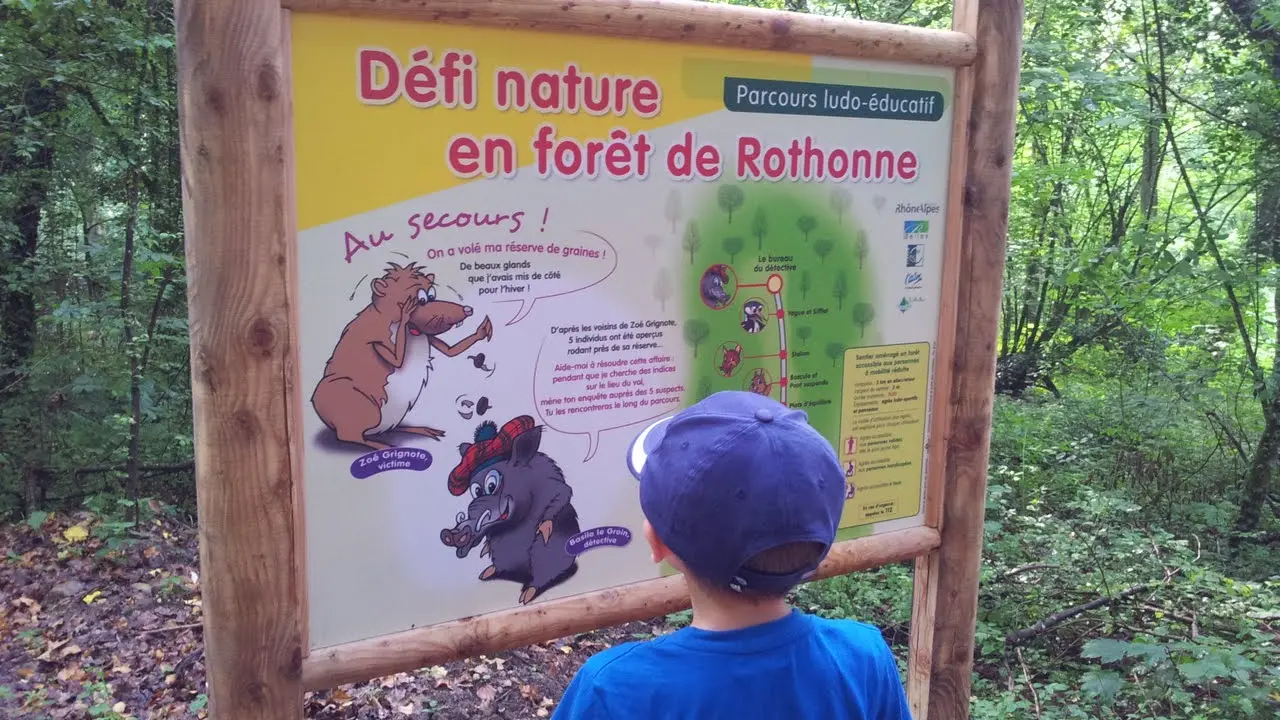 Parcours à énigmes de Zoé Grignotte en forêt de Rothonne