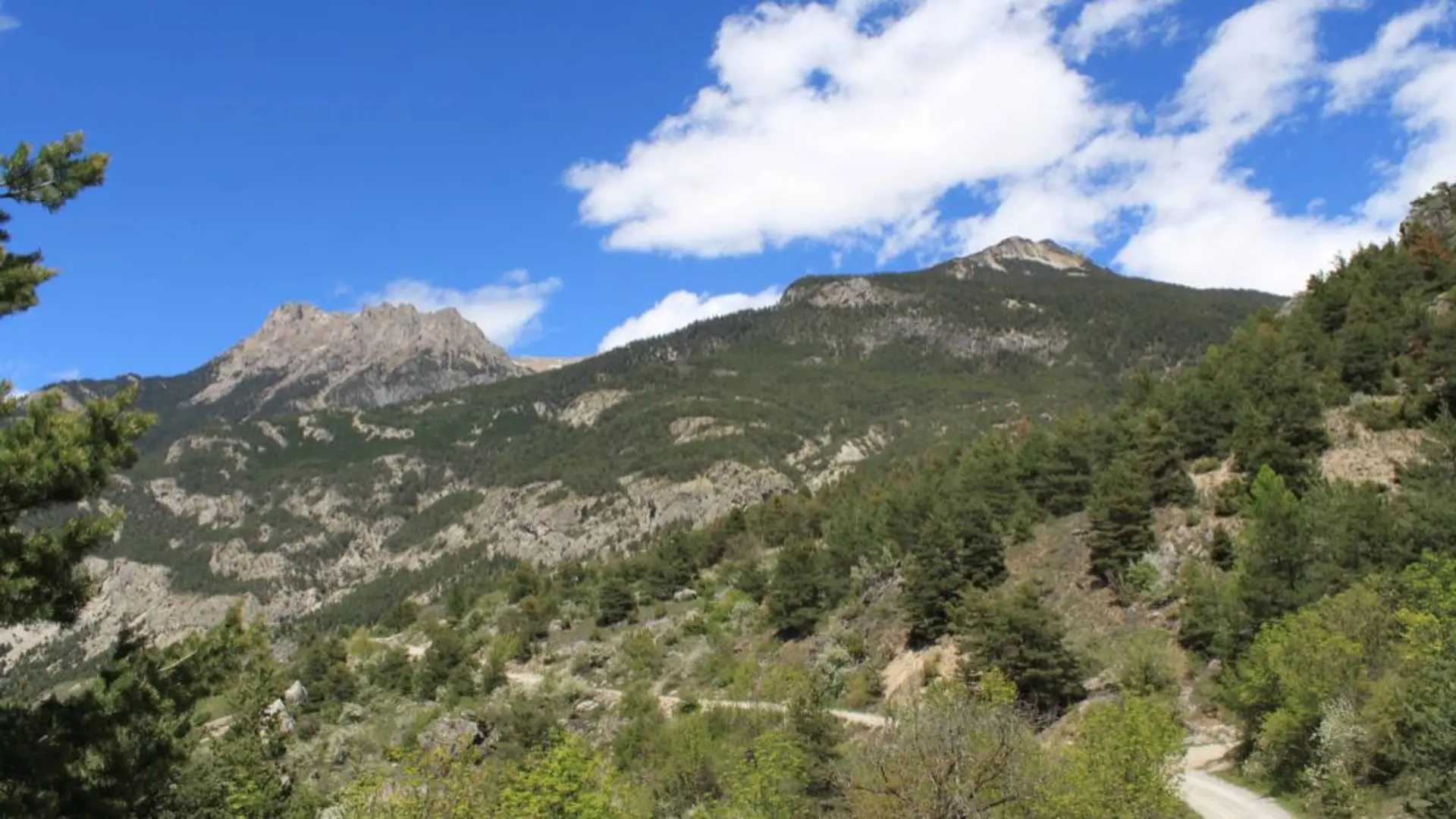 Chemin menant au Lauzet
