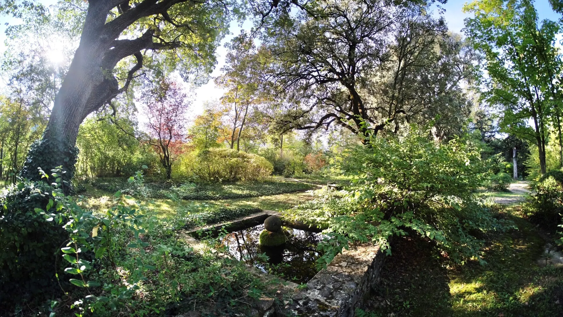 Le Domaine Daulone s'étend sur un parc arboré de 8 hectares