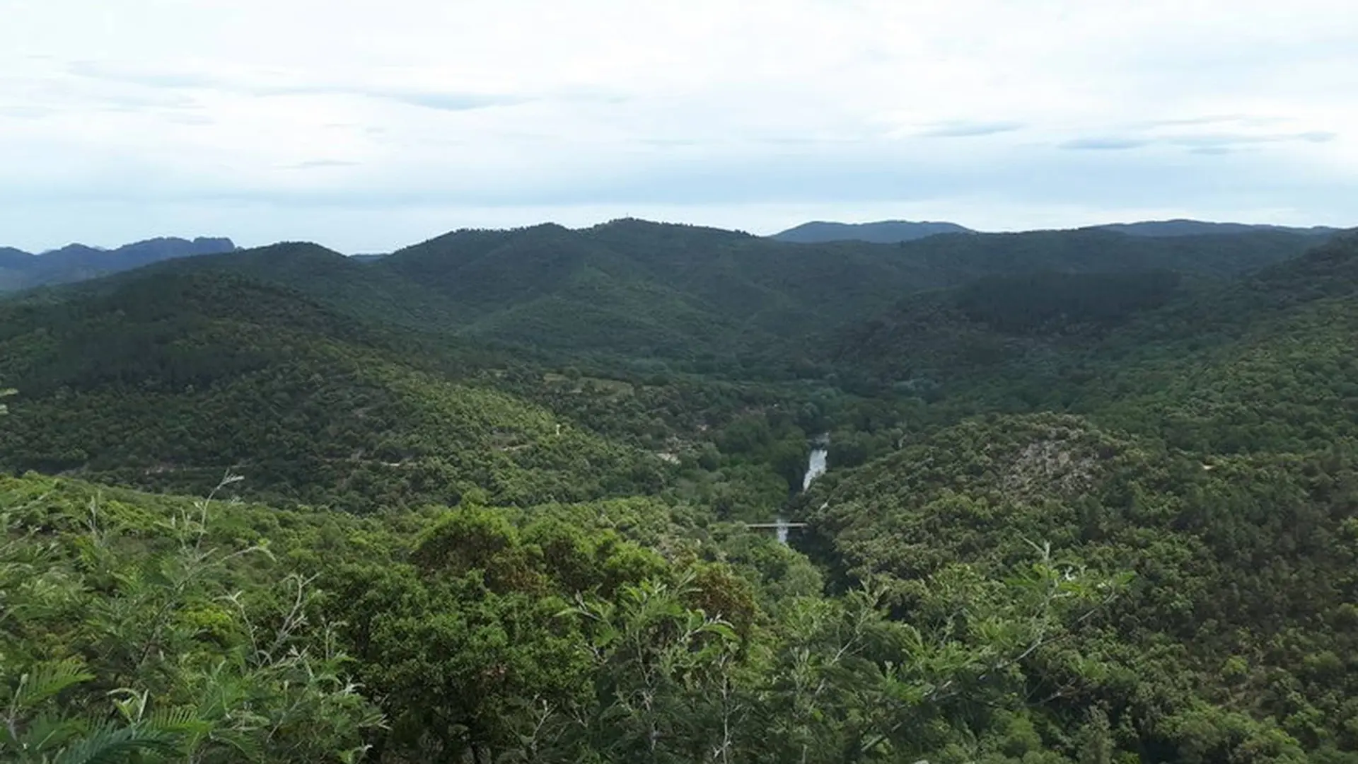 Panorama sur les collines environnantes et verdoyantes