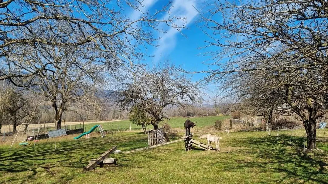 Jardin Gîte 