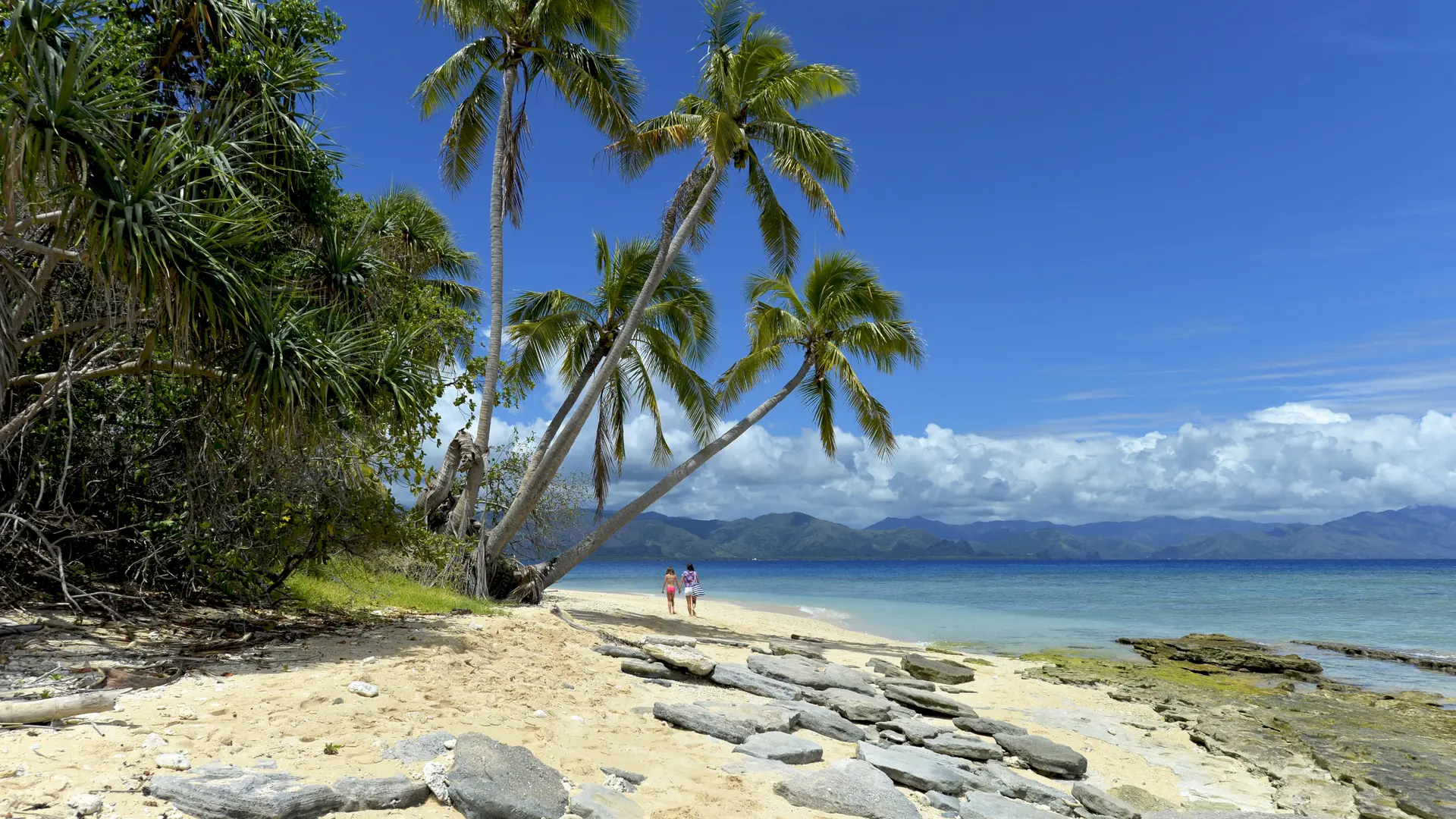 cocotier, plage, lagon, mer, îlot Hienga, Hienghène