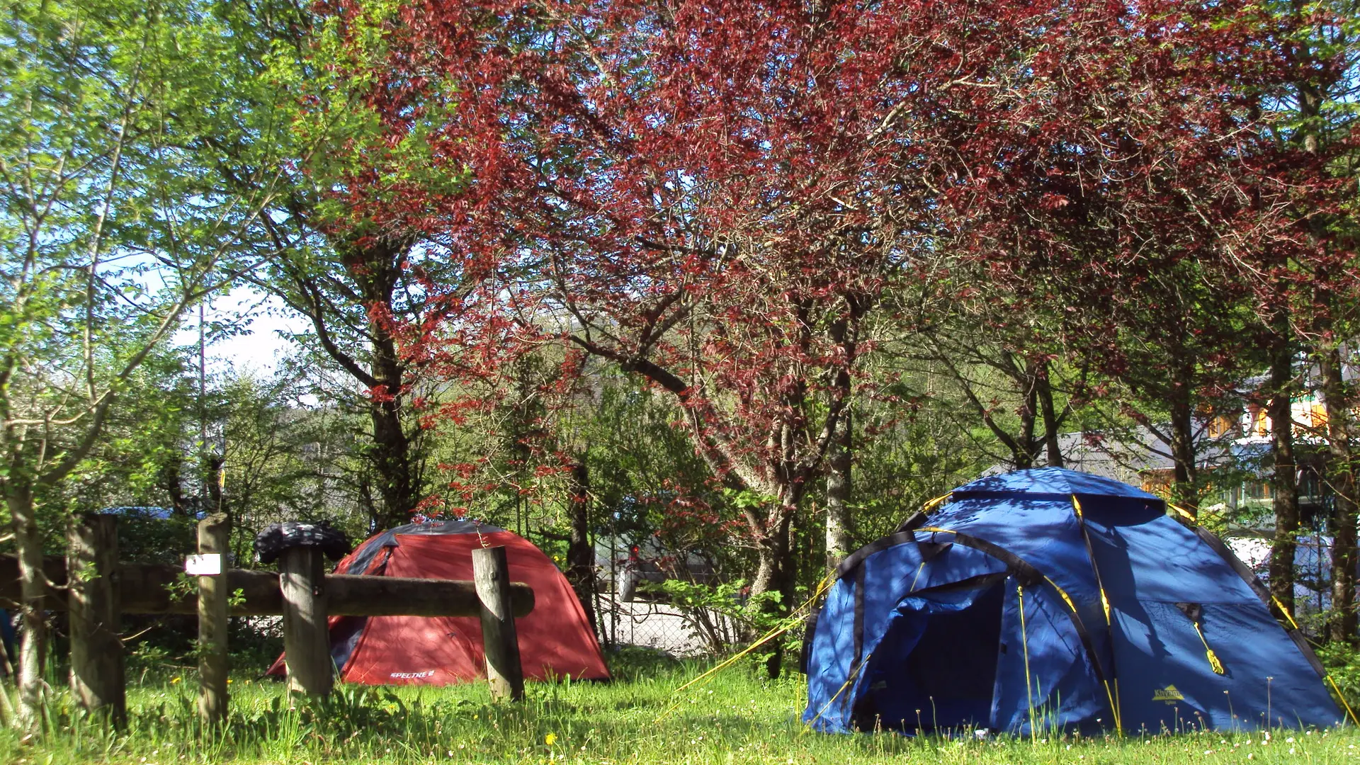 Les tentes au camping