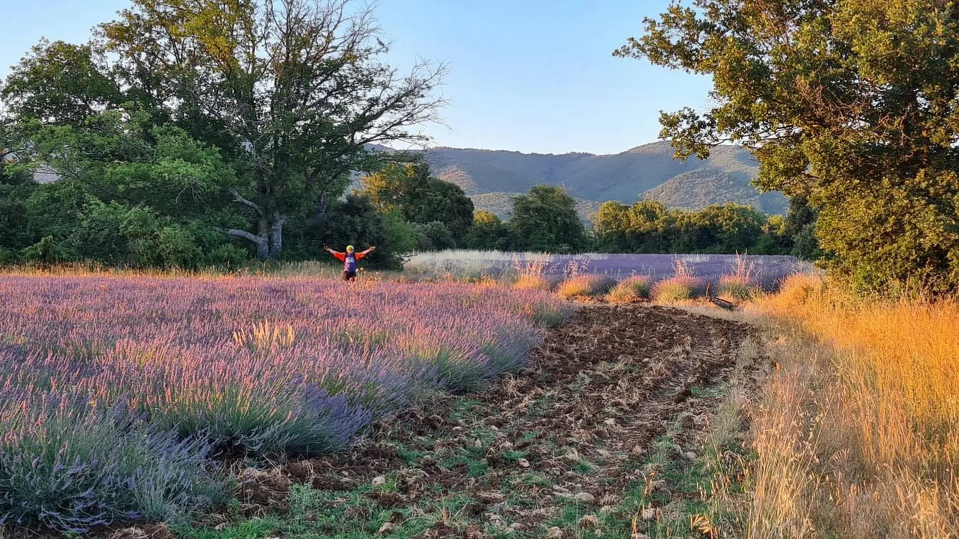 Sur le plateau des Claparèdes