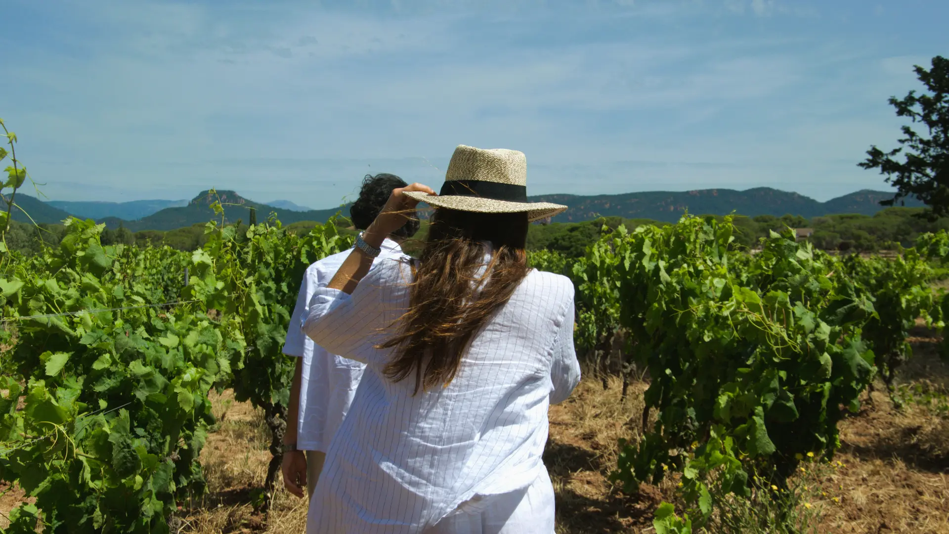 Circuit oenotouristique