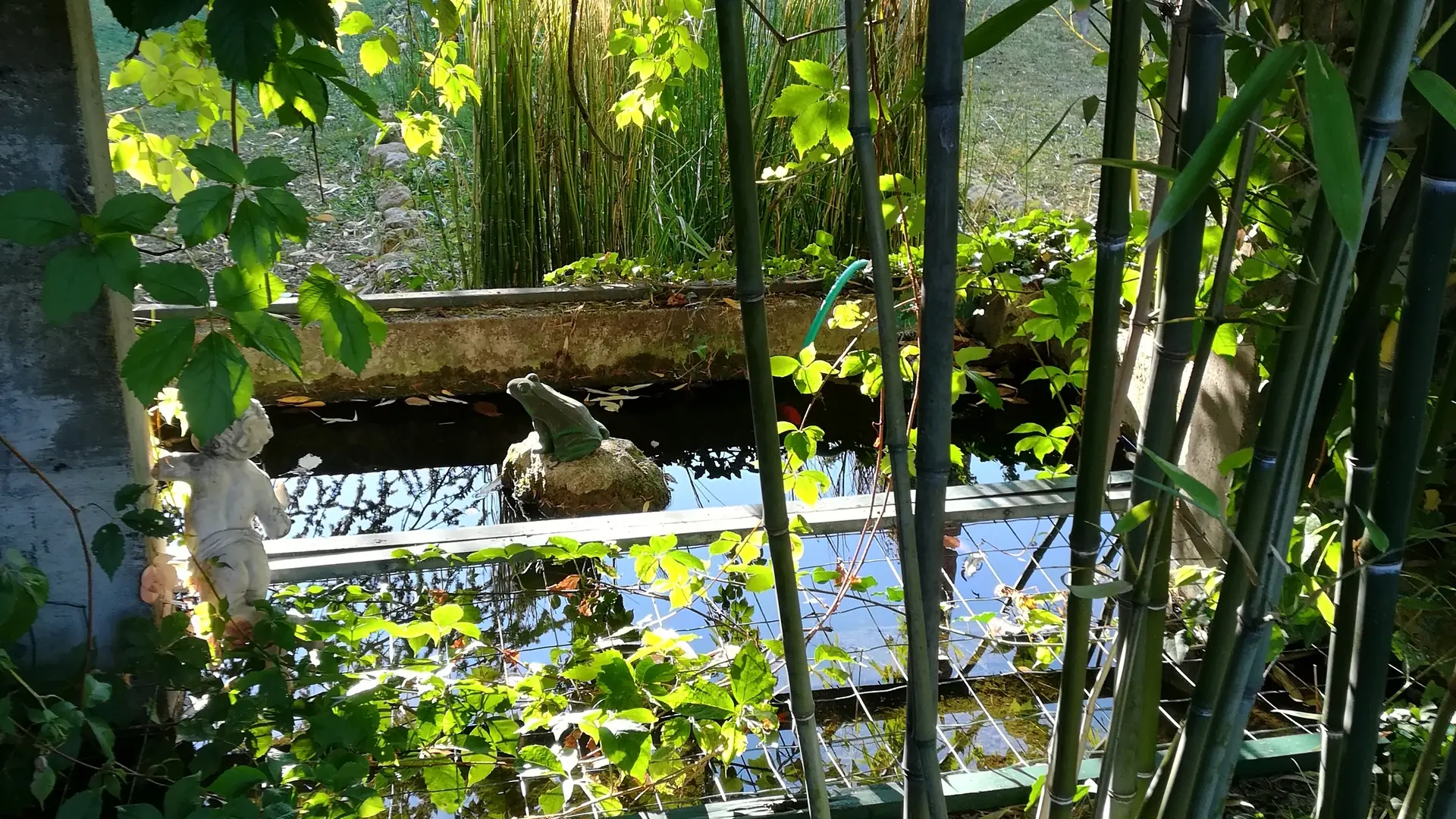Vue sur jardin