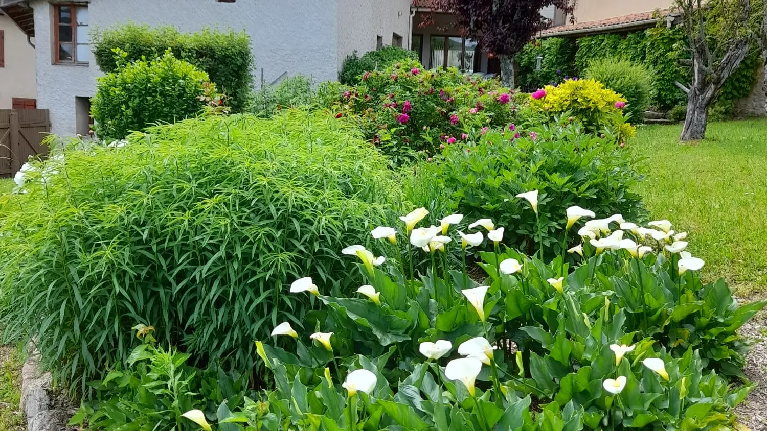 Le jardin