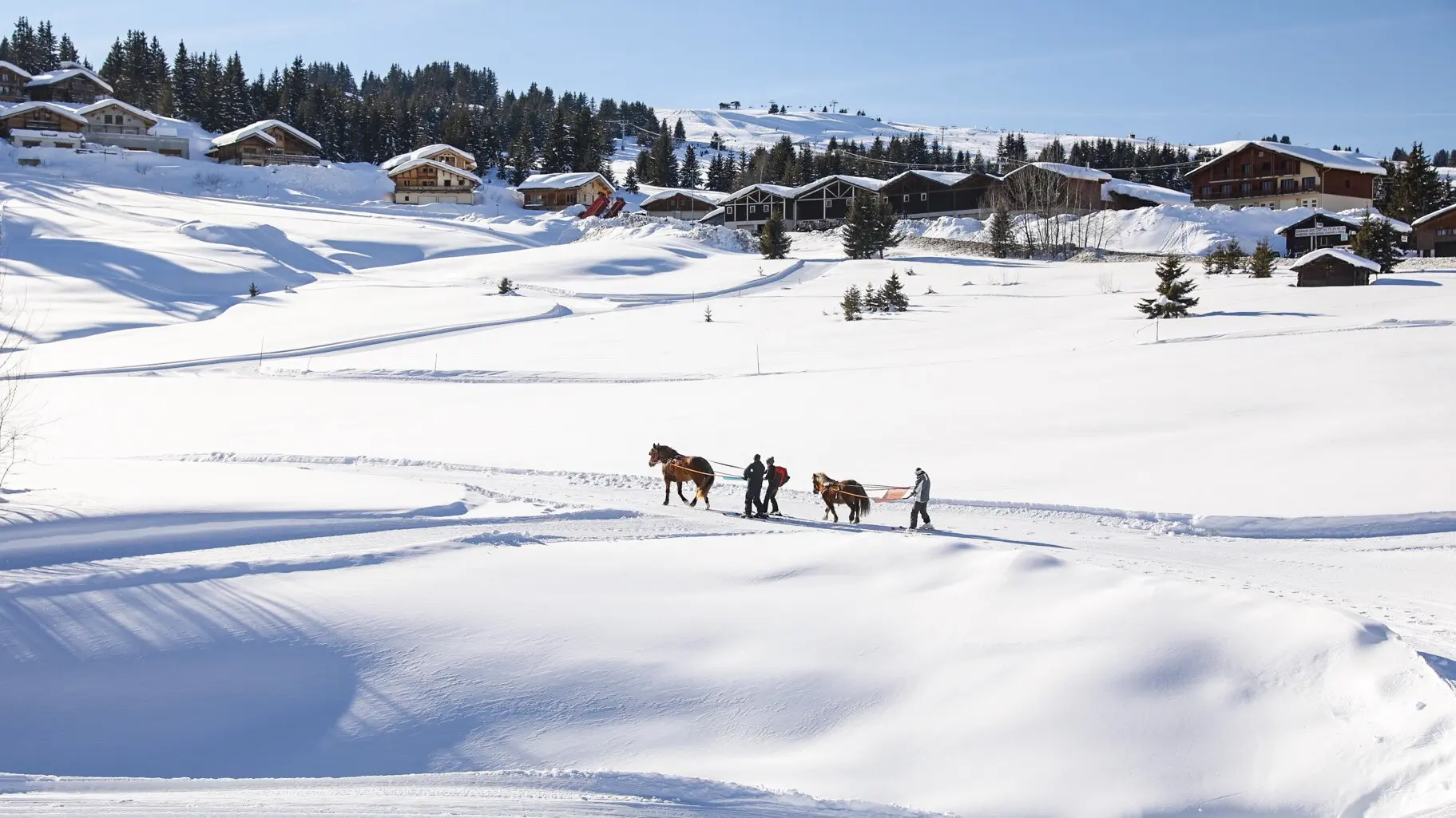 Ski tracté par un cheval