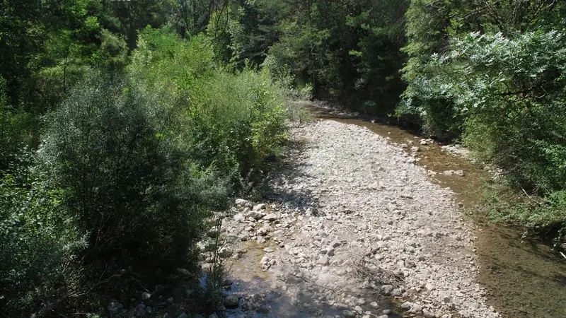 La Blaisance en aval, depuis le pont de Trescléoux